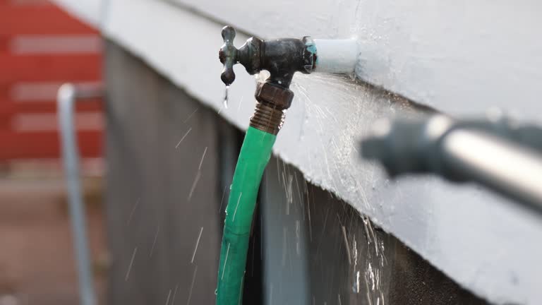 Best Property Management Cleanouts  in Lake Helen, FL