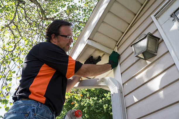 Best Carpet Removal and Disposal  in Lake Helen, FL